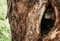 Selling Your Home Feels Like Groundhog Day