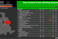 East Dallas District 9: Low Crime Doesn’t Ease Public Safety Fears