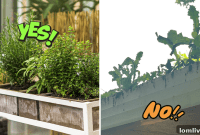 Quick DIY Home Gifts for Mother’s Day