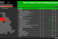 Preston Center Shooting Sparks Public Safety Debate in District 13
