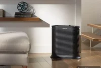 Transform Your Breathing Top Air Purifiers for Ultimate Comfort