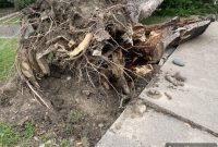 Sunday Night Storm Wreaks Havoc Across North Texas