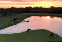 Wills Point Ranch: Your John Dutton Getaway for Yellowstone Fans