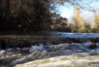 Duncanville’s Green Vision: 42 Acres Rezoned for Nature Preserve