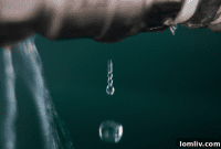 Every Leak Tells a Different Story