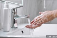 Pristine Retreats: Stunning Homes Designed for Wellness