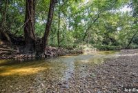 Bluffview Bliss: Your Canvas for a New Beginning