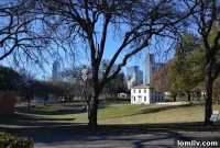 Dallas Leaders Press Economic Development for Aggressive Business Growth