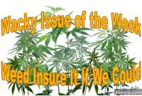 Cannabis Coverage: If Only