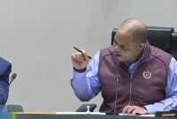 Council Members Pledge Millions in Discretionary Funds, Boosting Parks Bond