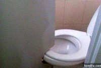 Wednesday’s Worst When Toilet Installations Turn Terrifying