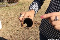 Atmos Customers Begin Journey Back to Normal with Pipe Replacement Launch