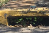 University Park’s Secret Sewers Sustain Our Green Guardians