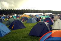 Hump Day Renter Havoc Marg’s Desperate Hunt