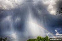 Remove the Rainbows Reveal Your Authentic Self