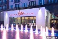 Savor Mesero: New Location Debuts in Preston Hollow Village