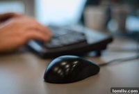 MetroTex Warns Agents of NTREIS Phishing Schemes