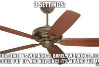 Not a Fan? 7 Ceiling Fans So Good, You’ll Become One