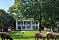 Dallas Heritage Village: The Unsung Imperative of Unsexy Maintenance