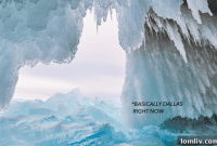 Mastering Tundra Survival: Smart Strategies for Enduring Warmth