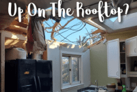 Rooftop Obstacle Course for Santa