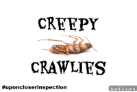 Uncovering the Crawling Terrors