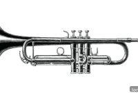 Lights, Camera, Real Estate: Navigating Today’s Market