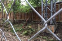 Katy Trail Enhancement: Pave Paradise?