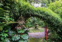 Costa Rica’s Pura Vida Artistic Heartbeat