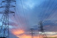 WattDawg Shields Texans from Soaring Electricity Prices with Guaranteed Low Rates