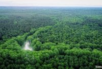 Jefferson’da Saklı Cennet: Masalsı Arazi Açık Artırmada