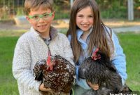 Cultivating Wellness: Farm and Ranch Living at Our East Texas Oasis