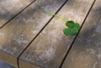 North Texas Homeownership A Steep Climb