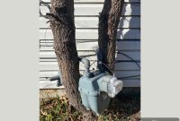 Every Home Inspection: A New First