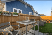 Fort Worth Developer Opens 230 Homes Designed for Pet Owners