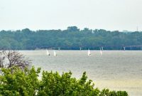 White Rock Lake Task Force’s Silver Anniversary of Advocacy