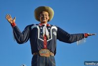 Affordable Fun Your State Fair Spending Playbook