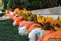 Transform Your Yard with Showstopping Pumpkin Displays