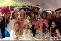 Josie the Amazon Our Home’s Colorful Feathered Heart