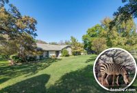 Colleyville’s Zebra House: A History Marked by Its Stripes