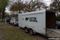 Dallas’ Hidden Horror: Winter Brings Roof Rats Straight to Your Doorstep