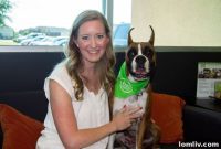 VIVO Realty Celebrates Pawsome Work Day With Furry Friends