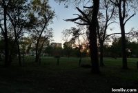 Mark Cuban’s Preston Hollow Kingdom Expands: He Just Bought a Road