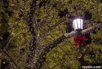 Dazzling Holiday Displays: Leave the Lighting to the Experts