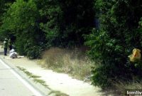 January 1st Your New 5 Cent Bag Charge