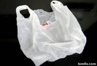 Beyond the Bag: Unpacking the Effects of Los Angeles’ Thin Film Plastic Ban