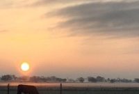 Brinkmann’s Last Ranch Sells in Frisco The Countryside is Gone Forever