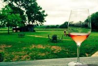 Boot Ranch Uncorked: A Symphony of Sips and Scents