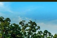 Farmers Branch Woman Turns FSBO Sign Into Neighborly Insult