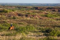 Ready for Ranch Life Candy Tours Grand Vie’s Luxury Estates